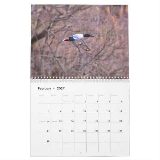 Ducks Calendar Kalender (Feb 2027)