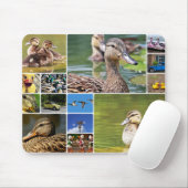 Ducks Collage Photo Muismat (Met muis)