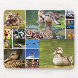 Ducks Collage Photo Muismat
