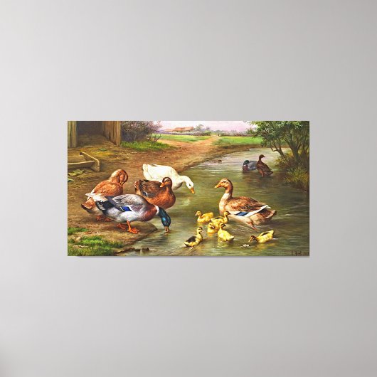  Ducks Ducklings Farm Animals Canvas Afdrukken (Voorkant)