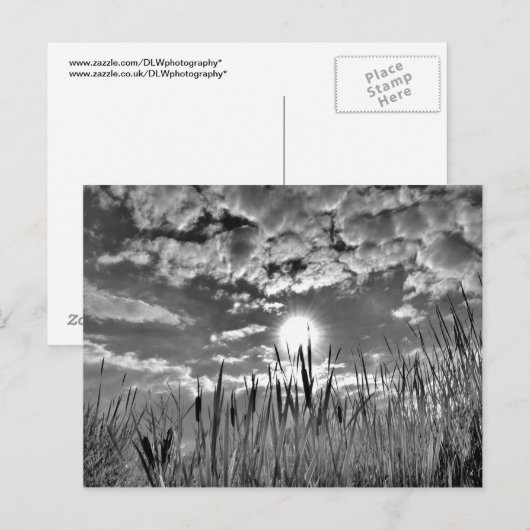 Duck's Eye Uitzicht Briefkaart (Voorkant / Achterkant)