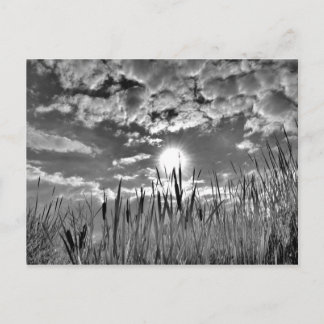 Duck's Eye Uitzicht Briefkaart