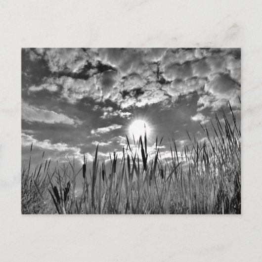 Duck's Eye Uitzicht Briefkaart (Voorkant)