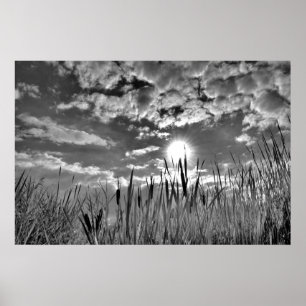 Duck's Eye Uitzicht Poster