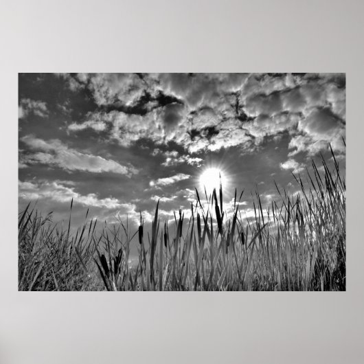 Duck's Eye Uitzicht Poster (Voorkant)