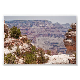 Duck's Grand Uitzicht Foto Afdruk