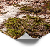 Duck's Grand Uitzicht Poster (Hoek)