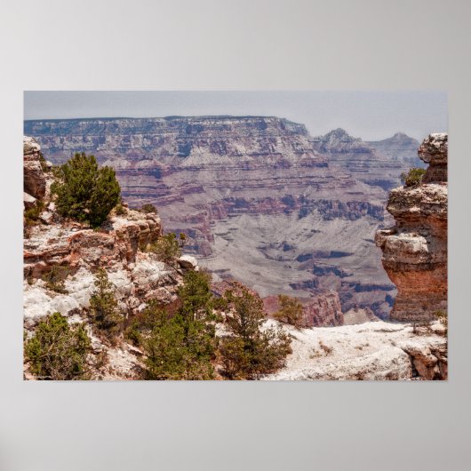 Duck's Grand Uitzicht Poster (Voorkant)