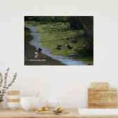 Ducks' Hang Out Poster (Keuken)