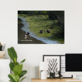 Ducks' Hang Out Poster (Thuiskantoor)