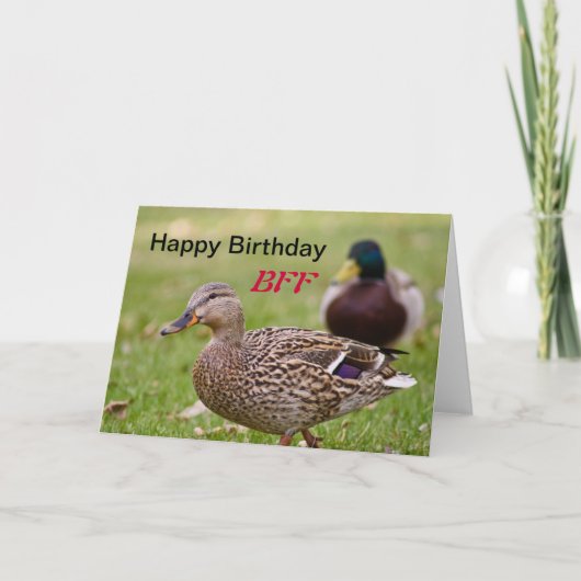 Ducks Happy Birthday BFF Kaart (Voorkant)