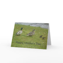 Ducks Happy Mothers Day