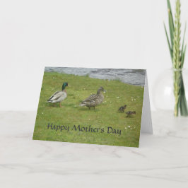 Ducks Happy Mothers Day Kaart