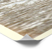 Ducks in Icy Creek Poster (Hoek)