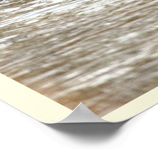 Ducks in Icy Creek Poster (Hoek)