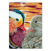 Ducks in Love (Voorkant)