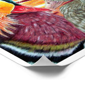 Ducks in Love Poster (Hoek)