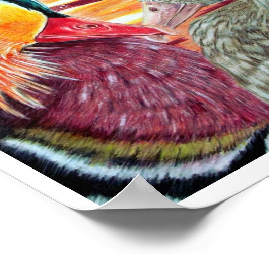 Ducks in Love Poster (Hoek)