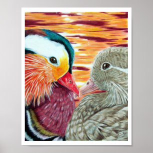 Ducks in Love Poster