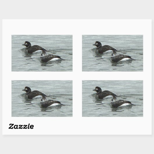 Ducks in Ocean Photo Stickers (Vel)