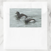 Ducks in Ocean Photo Stickers (Tas)