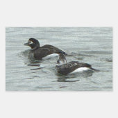 Ducks in Ocean Photo Stickers (Voorkant)