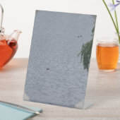 Ducks In Pond Photo Reclamebord Met Voetstuk (Insitu)