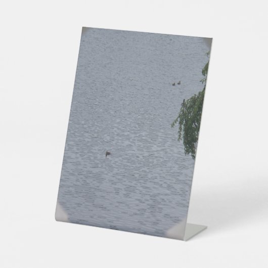 Ducks In Pond Photo Reclamebord Met Voetstuk (Voorkant)