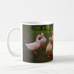 Ducks in the Park Funny We zijn allemaal makelaars Koffiemok