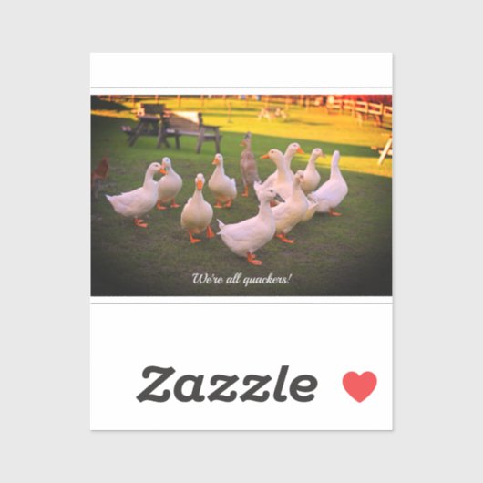 Ducks in the Park Funny We zijn allemaal Stickers (Vel)