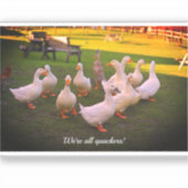 Ducks in the Park Funny We zijn allemaal Stickers (Voorkant)