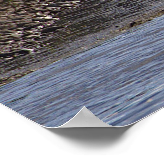 Ducks in Water Poster (Hoek)