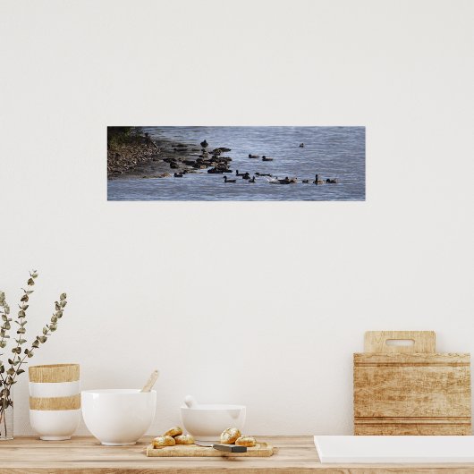 Ducks in Water Poster (Keuken)