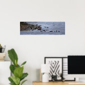 Ducks in Water Poster (Thuiskantoor)