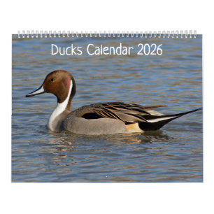 Ducks Kalender 2025