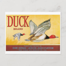 Ducks Lemons San Dimas Los Angeles California Briefkaart