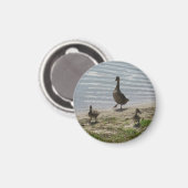 Ducks Magnet (Voorkant / Achterkant)