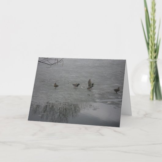"Ducks on Ice" - Hartelijk dank - Kaart (Voorkant)