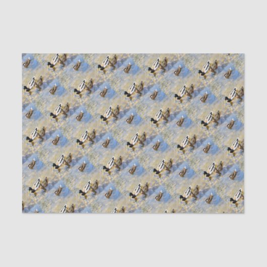 Ducks Photo Tissuepapier (Voorkant)