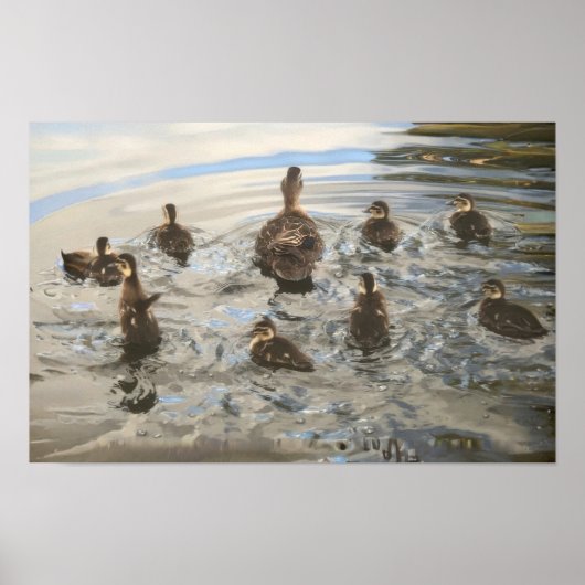 Ducks Swimming Poster (Voorkant)