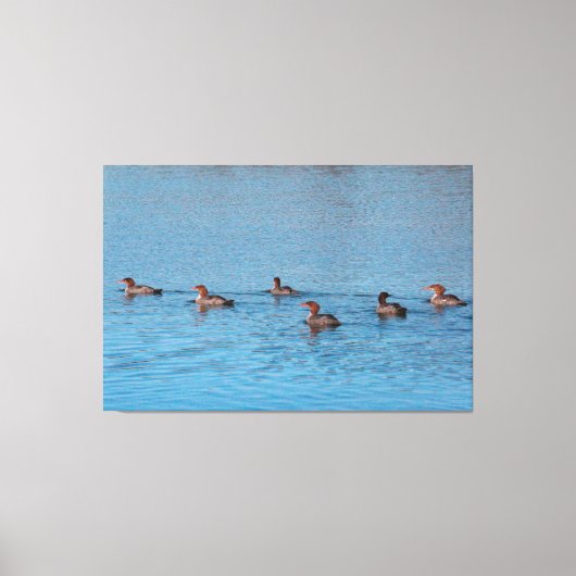 Ducks van zes canvas afdruk (Voorkant)