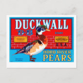 Duckwall Hood River Pears Briefkaart (Voorkant)