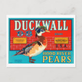 Duckwall Hood River Pears  Crate Label Briefkaart (Voorkant)