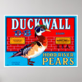 Duckwall Hood River Pears Poster (Voorkant)