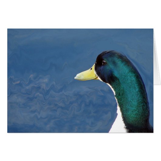 Ducky (Voorkant Horizontaal)