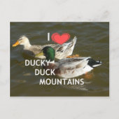 Ducky eend bergen. briefkaart (Voorkant)