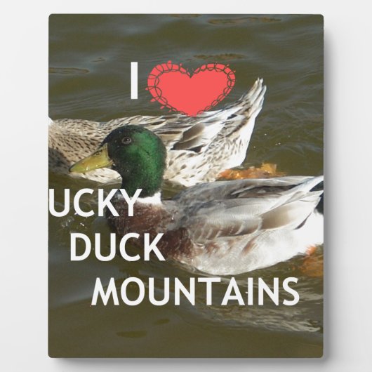 Ducky eend bergen. fotoplaat (Voorkant)