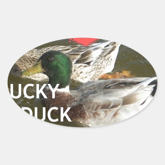 Ducky eend bergen. ovale sticker (Voorkant)