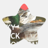 Ducky eend bergen. ster sticker (Voorkant)