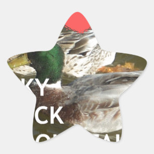 Ducky eend bergen. ster sticker